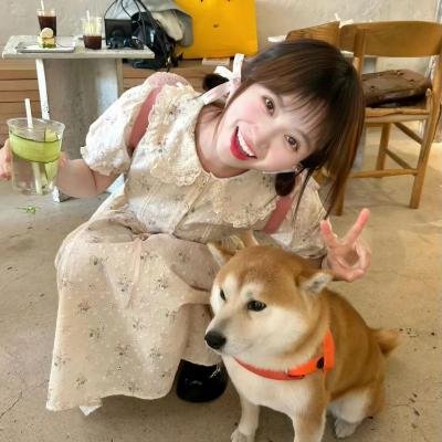 东京糖衣巧克力 封面
